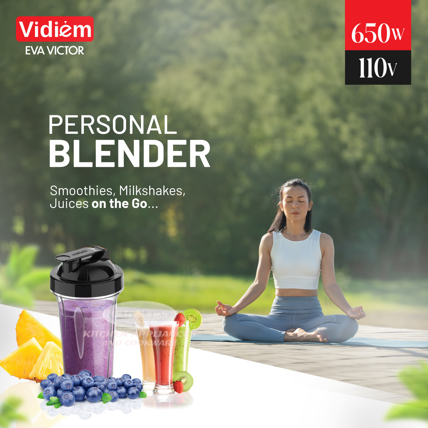 vidiem-eva-victor-pro-650w-110v-indian-mixer-grinder-ss-jars-250ml-spice-personal-coffee-herbs-grinder-with-500ml-personal-juices-shakes-smoothie-blender-made-for-canada-usa